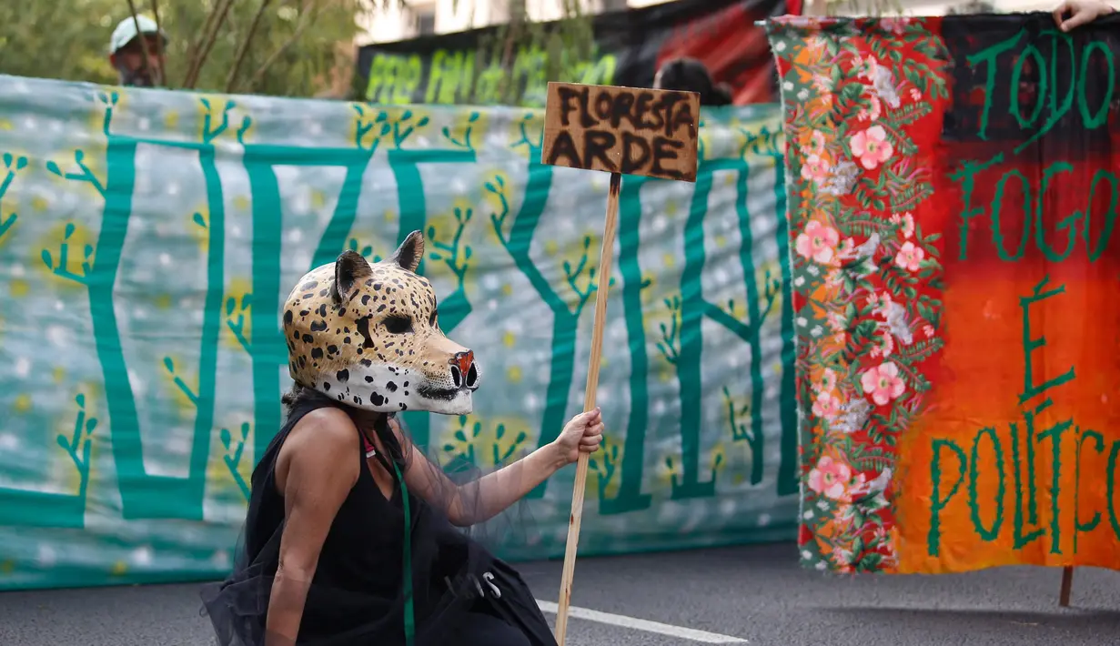 Para ahli biologi mengatakan kebakaran di lahan basah Pantanal menyebabkan kematian banyak hewan. (Miguel SCHINCARIOL/AFP)