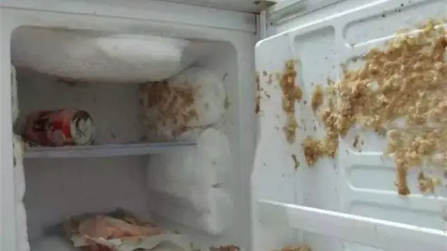 Tak semua makanan atau minuman bisa dimasukkan ke dalam kulkas, apalagi di bagian pembekunya.