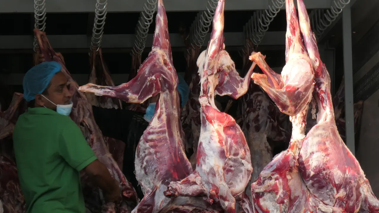 Daging dam petugas dan jemaah haji. (Foto: Liputan6.com/Kemenag)
