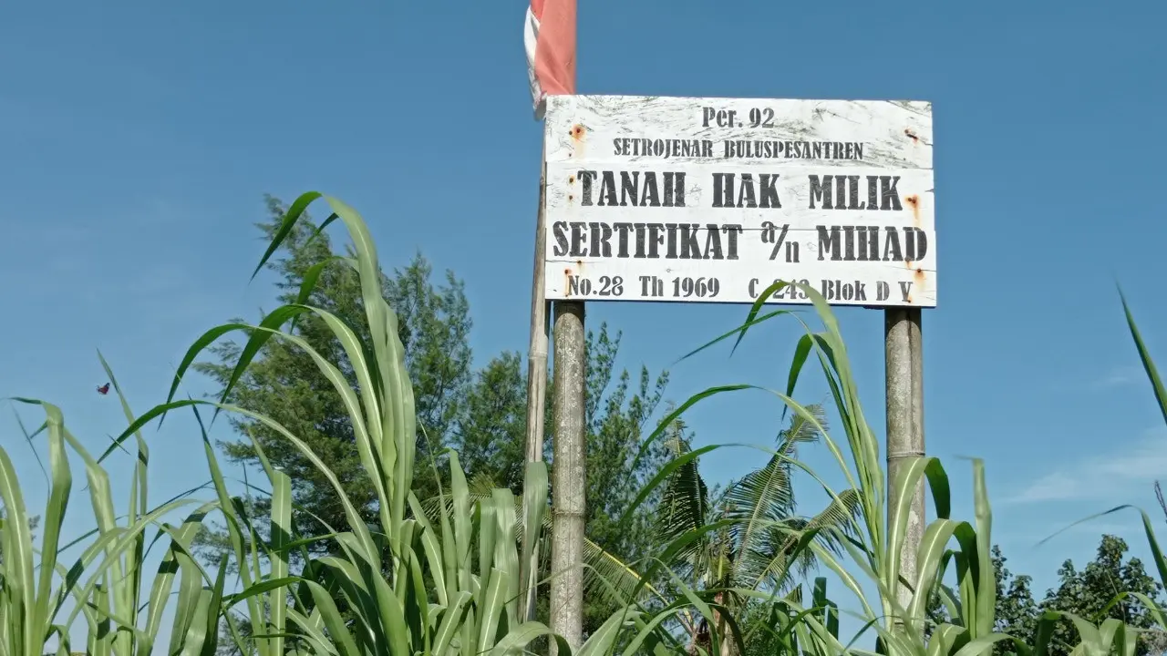 Papan bertulis nomor sertifikat hak milik atas nama Mihad dipasang di atas tanah di Desa Setrojenar, Kecamatan Buluspesantren, Kebumen, Rabu (24/3/2021). (Liputan6.com/Rudal Afgani Dirgantara)