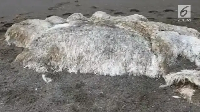 Penduduk sebuah desa menemukan makhluk misterius terdampar di pantai timur Rusia. Bangkai makhluk misterius berukuran raksasa itu menimbulkan bau yang menyengat.