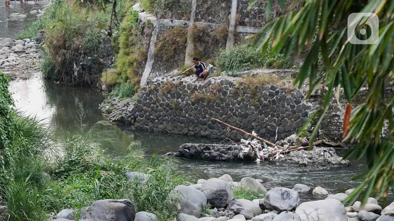 Aliran Sungai Ciliwung di Bogor Surut Akibat Kemarau