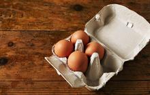 9 Tips yang Harus Diperhatikan saat Menyimpan Telur agar Tetap Fresh, Higienis, dan Tahan Lama