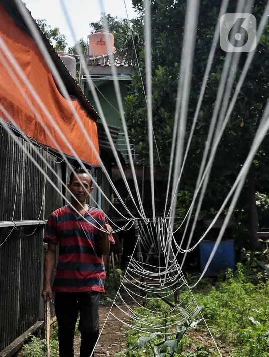 Rata-rata setiap harinya diproduksi sekitar 100 kilogram benang dari industri pemintalan tradisional ini. (Liputan6.com/Angga Yuniar)