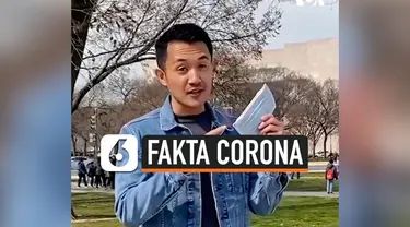 fakta corona