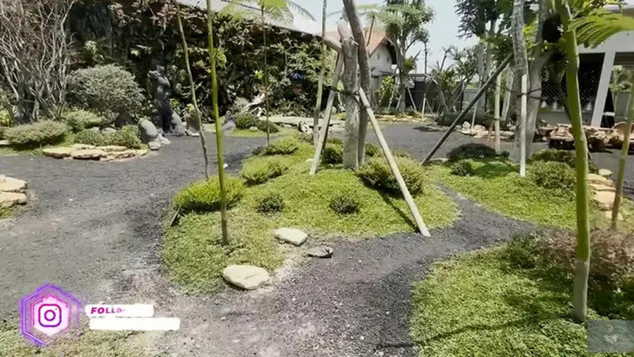 Model Kolam di Taman Rumah Soimah yang Luas Banget, Asri dengan Detail Artistik