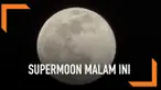 Supermoon diperkirakan akan kembali terjadi malam ini. Inilah beberapa fakta supermoon yang bisa dilihat malam nanti.