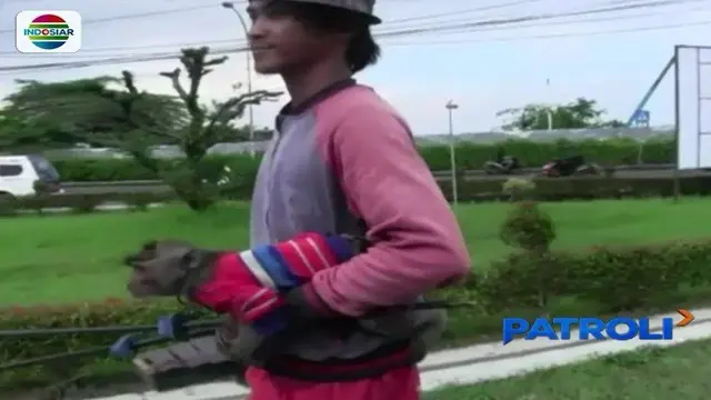 Razia Topeng Monyet di Tasikmalaya Diwarnai Kejar-kejaran