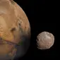 Mars mempunyai dua bulan alami bernama Phobos dan Deimos. (NASA)