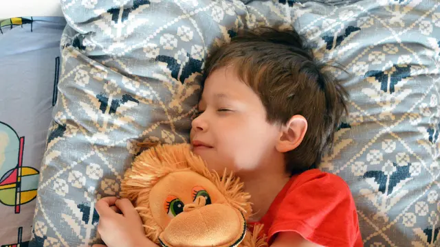 Dampak Jika Tidur Siang Tidak Teratur