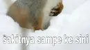 Lihat saldo ATM (Istimewa)