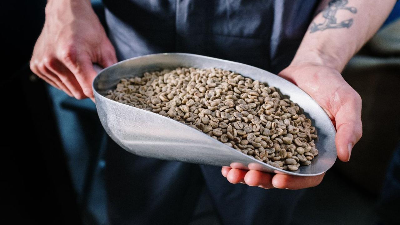 Tahap Pemrosesan Biji Kopi: Dari Hijau ke Hitam