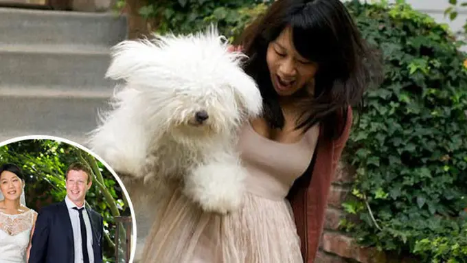 Priscilla Chan dan Beast (c) blog.theknot.com