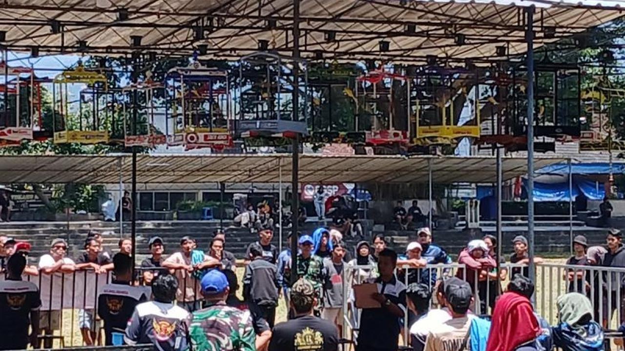 800 Peserta Ramaikan Lomba Burung Berkicau Temanggung, Ajang Lestarikan Fauna Sekaligus Sambut HUT ke-80 TNI