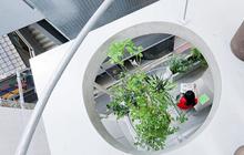 Desain Taman Minimalis Dalam Rumah yang Modern, Bikin Hunian Makin Asri