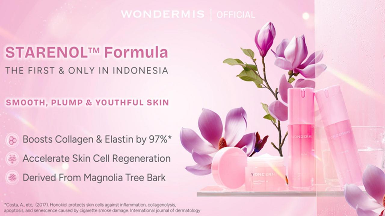 WONDERMIS