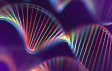 Berapa Biaya Tes DNA? Segini Kisarannya di Rumah Sakit