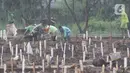 Pekerja melakukan proses pemakaman jenazah dengan protokol COVID-19 di TPU Bambu Apus, Jakarta Timur, Selasa (16/2/2021). Pemangkasan petak makam di TPU Bambu Apus tersebut dilakukan agar bisa menampung lebih banyak jenazah, mengingat lahan pemakaman terbatas. (Liputan6.com/Herman Zakharia)