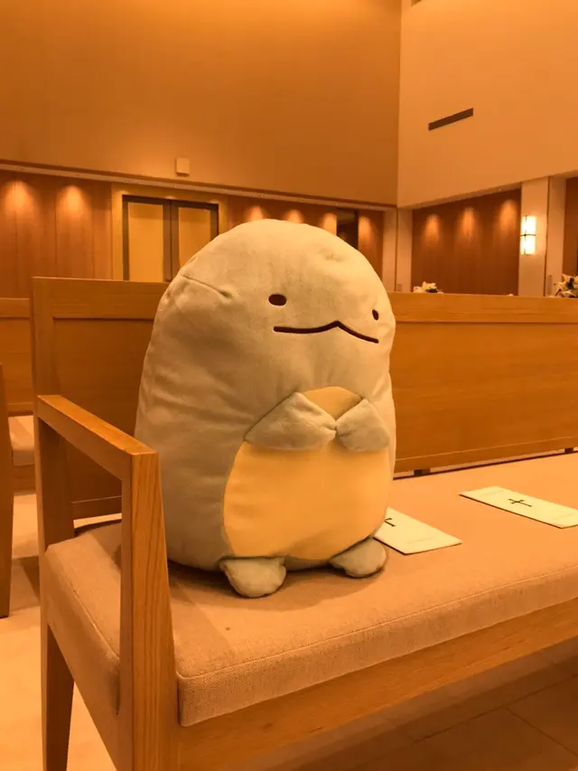 Saking Sayangnya, Wanita Jadikan Boneka Lusuhnya Tamu VIP di Pernikahannya