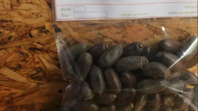 Pronojiwo dikenal sebagai bahan baku jamu untuk stamina pria