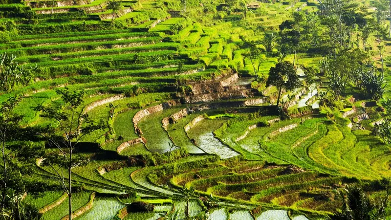 Buka Kembali, Nikmati Keindahan Alam dan Makan Malam Romantis di Amanjiwo