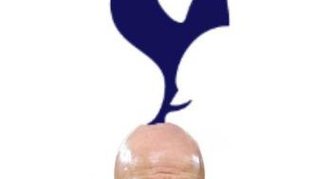 Jadi logo baru Tottenham Hotspur?