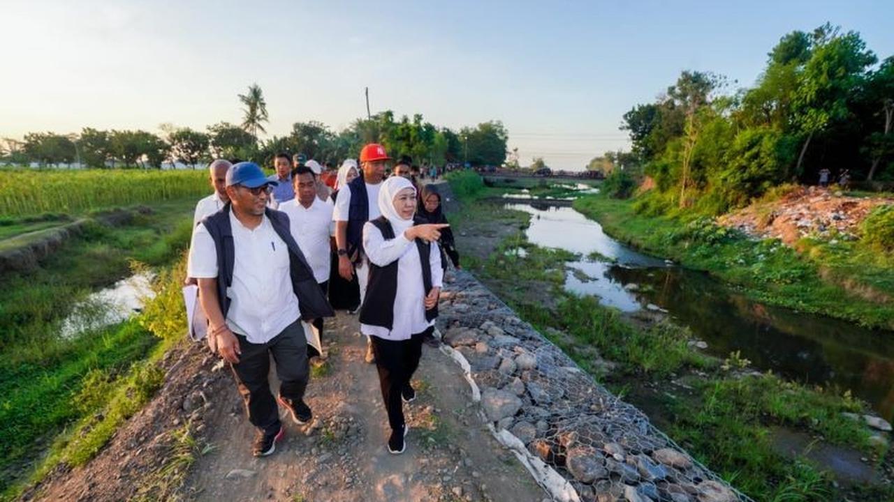 Tahukah Anda, Tanggul Bronjong di Situbondo Mampu Kembalikan Fungsi Irigasi Puluhan Hektare Sawah? Pemprov Jatim Bangun Tanggul Sungai Situbondo Cegah Banjir