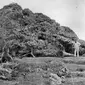 Letusan Gunung Krakatau 1883 (Wikipedia)