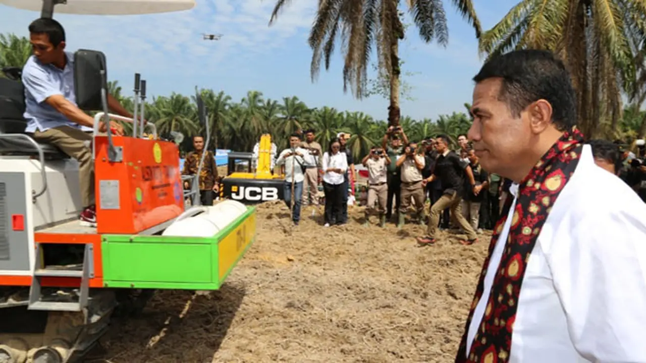 Peremajaan Sawit Rakyat Didorong untuk Jaga Produktivitas, Hasilkan Devisa, dan Pendapatan Petani