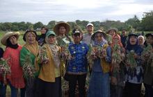 Perkuat Ketahanan Pangan, Legislator Dorong Urban Farming Tangerang