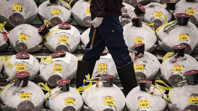 Seorang tengkulak berjalan melewati deretan tuna beku di Pasar Toyosu, Tokyo, Jepang, 5 Januari 2021. Untuk lelang tahun ini, penonton tidak diizinkan untuk menghadiri acara tersebut. (Philip FONG/AFP)