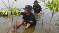 BRI Gandeng Generasi Muda Lestarikan Lingkungan Wilayah Pesisir di Mamuju dan Tuban