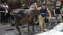 Petugas membawa hewan kurban untuk dipotong di Masjid Sunda Kelapa, Jakarta, Jumat (1/9). Panitia kurban Masjid Sunda Kelapa menerima sebanyak 10 ekor sapi dan 46 ekor kambing untuk dibagikan kepada yayasan dan warga. (Liputan6.com/Immanuel Antonius)