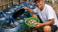 Cara Ternak Nila Galon Bekas untuk Usia 55 Tahun, Lebih Mudah dan Cepat Panen