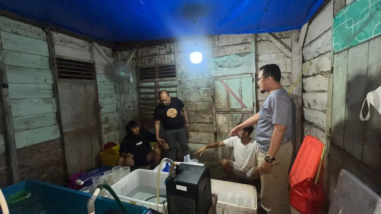 Penggerebekan gudang berisi 7.500 BBL siap jual di Pesisir Barat digrebek Polda Lampung. Foto : (Istimewa).