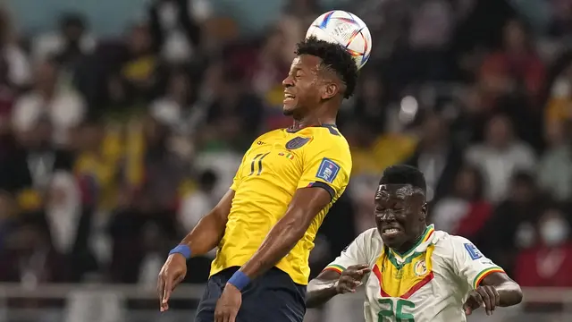 Ekuador vs Senegal