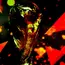 Pra Piala Dunia FIFA 2022 akan menentukan 31 dari 32 tim nasional sepak bola yang akan berlaga di putaran final Piala Dunia FIFA 2022.