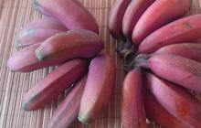 5 Mitos Pisang Merah di Indonesia, Bisa Jadi Pertanda Baik dan Buruk