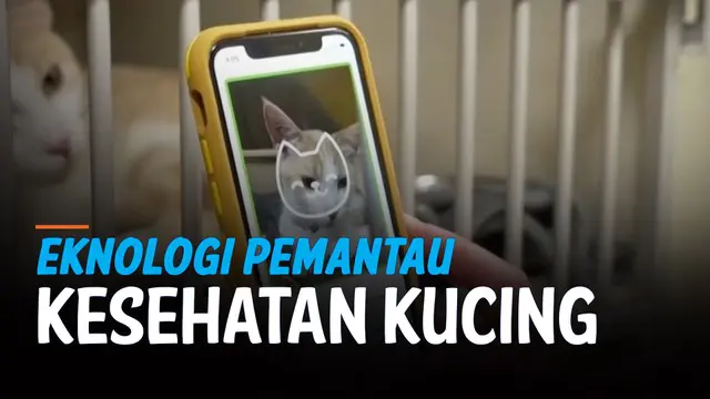 Penjualan produk hewan peliharaan selama 2020 menembus 100 miliar dolar untuk pertama kalinya, menurut pantauan Asosiasi Produk Hewan Peliharaan AS (APPA), karena orang seharian di rumah saja bersama anjing dan kucing kesayangan mereka. Berbagai prod...