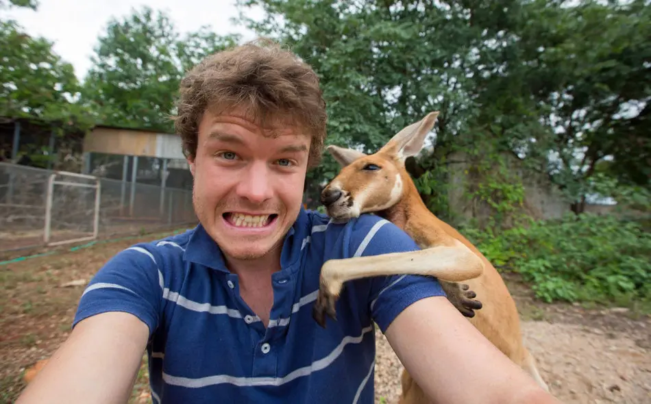 Aksi Hewan-Hewan dengan Pose Tersenyum saat Diajak Selfie