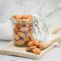 Ilustrasi biji ketapang./Copyright shutterstock.com/g/arissetya