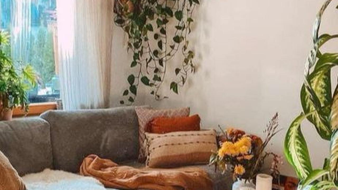 Desain Interior Rumah Jungalow Minimalis