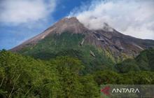 Fakta Unik: Gunung Merapi Luncurkan 6 Kali Awan Panas Guguran dalam Sehari, Jarak Maksimal 2,5 Km