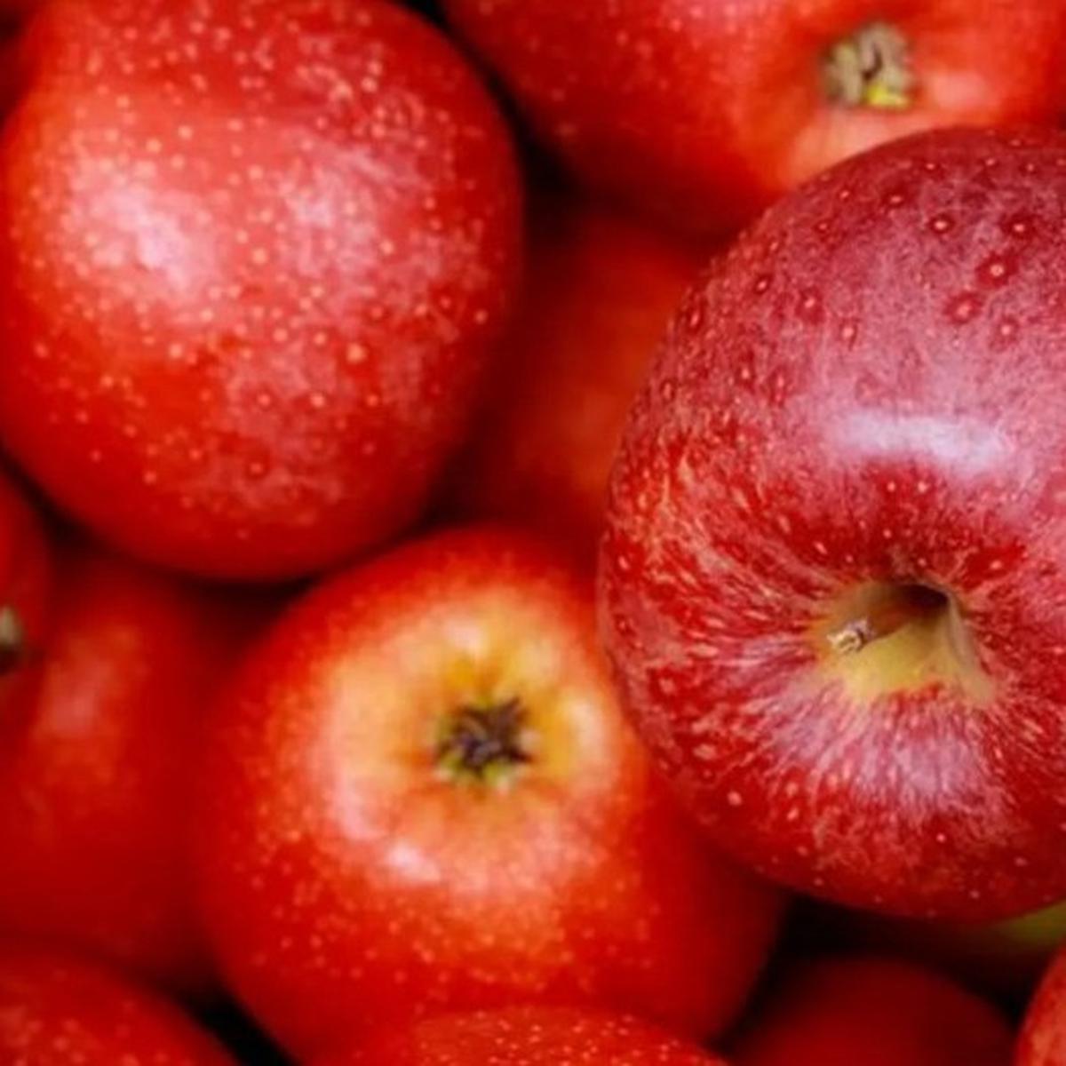 Buah Apel