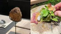 Restoran Mewah Ini Sajikan Kuliner Aneh dari Kotoran Gajah (Sumber: SCMP)