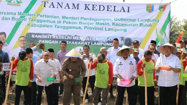 Bertekad Kurangi Impor, Mentan SYL Bersama Mendag Kompak Tanam Kedelai di Tanggamus