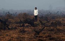 Pemerintah tak bisa tutupi perusahaan pembakar hutan