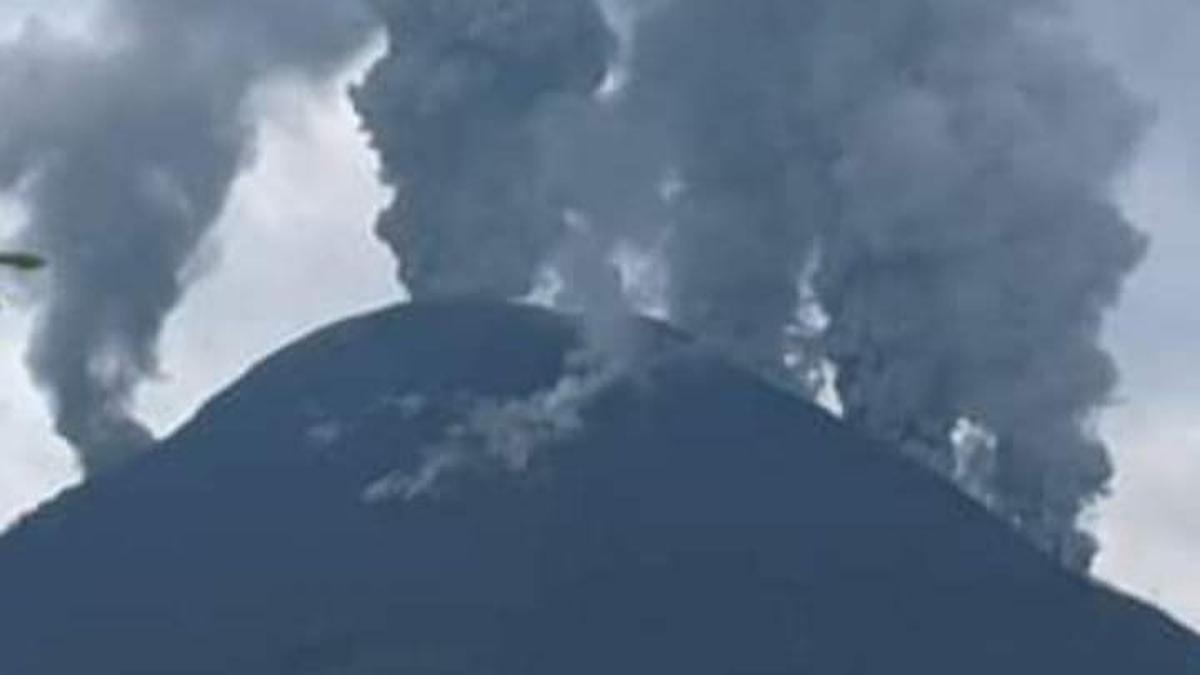 Fakta atau Mitos? Geolog Sebut Pohon Bisa Memprediksi Letusan Gunung Berapi