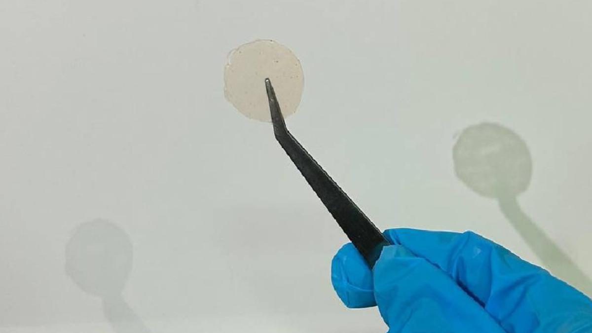 Inovatif, Mahasiswa Unpad Bikin Patch Antipenuaan dari Buah Merah Papua