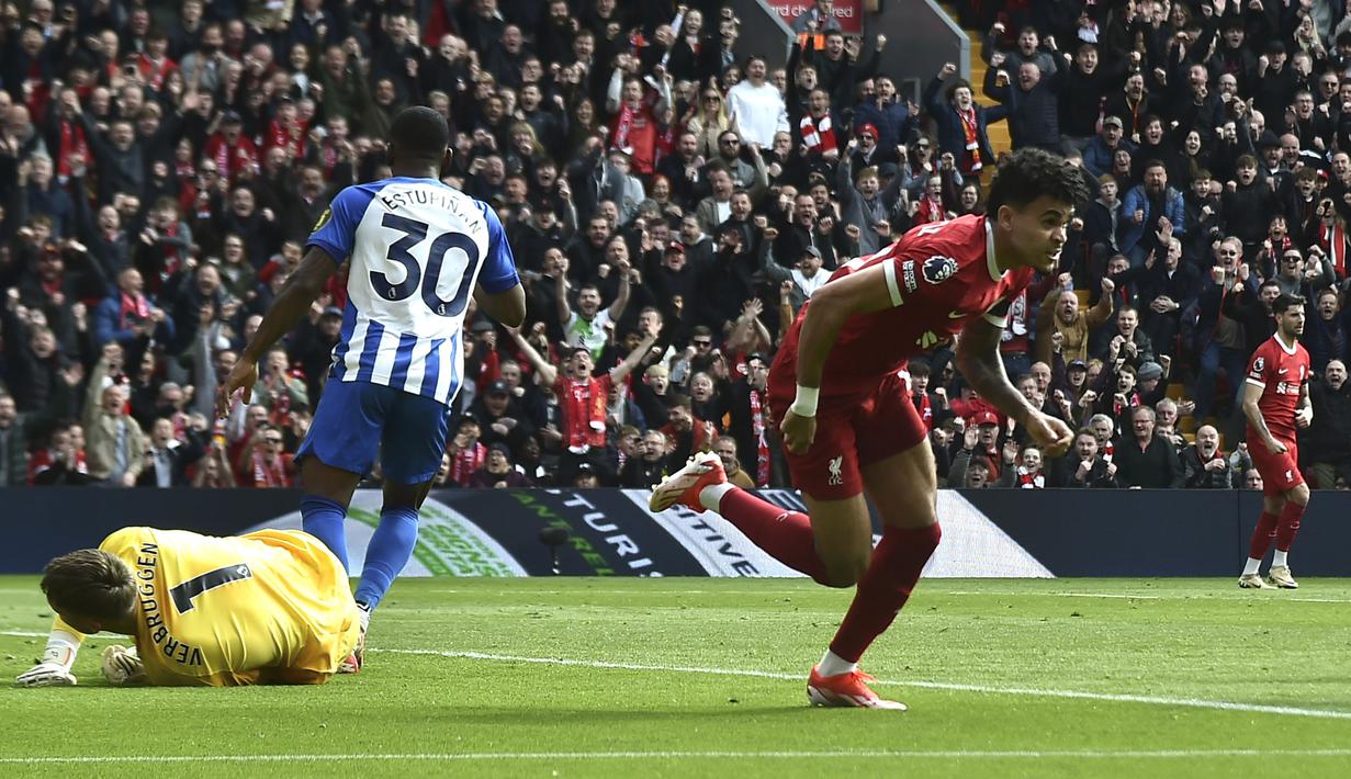 Selebrasi gelandang Liverpool, Luis Diaz (kanan) setelah mencetak gol penyeimbang 1-1 ke gawang Brighton and Hove Albion pada laga pekan ke-30 Premier League 2023/2024 di Anfield Stadium, Liverpool, Minggu (31/3/2024). (AP Photo/Rui Viera)